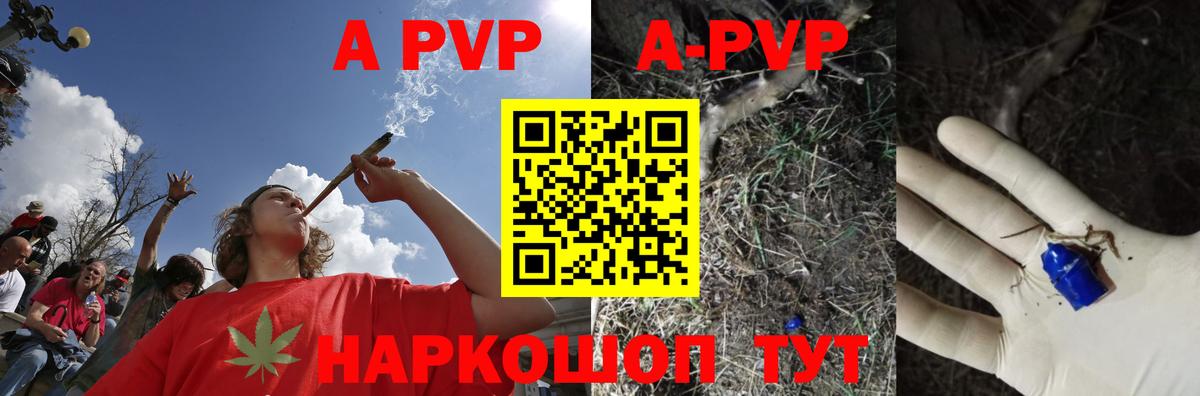 дарнет шоп  Вход с VPN  Ревда  A PVP крисы CK 