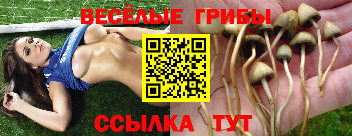 Ревда  Галлюциногенные грибы прущие грибы  Вход с VPN  цены наркотик  Галлюциногенные грибы GOLDEN TEACHER 